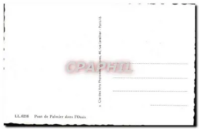 Ponte di Palmier nell'Oasi — Editore: Cie des Arts Photographiques, 44, rue Letellier, Parigi — Verso