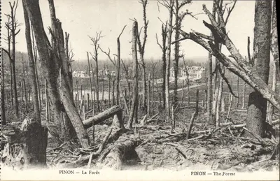 Pinon — A Floresta — B. Nougard & H. Lentrat