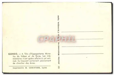 Congo — Cabeça de hipopótamo — Edição dos Missionários Jesuítas, Lyon — Verso