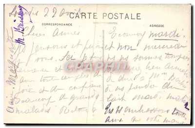 Pyrénées - pies górski — Sireygeol, wyd., Lourdes, nr 71 — Rewers