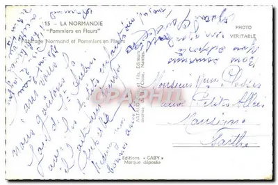 Pomares em Flor — SABY — Éditions Caby — Verso