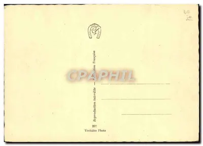 Spójrz — Jacht wyścigowy F 47 — nr 202 — Rewers