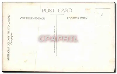 Paisagem com palmeiras e pessoa — Jerusalém — American Colony Photo Cards — Verso