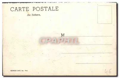 Dromadery w Saharze — Georges Lang, Paryż, n° 46 — Rewers