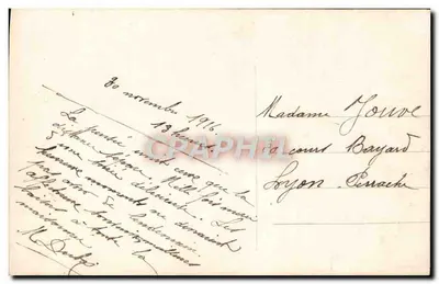 Pansy — bukiet w ozdobnym naczyniu — Gloria n°344 — Rewers