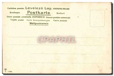 Żółte i czerwone kwiaty — akwarela — A. Rius, seria 1882 — Rewers