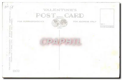 West Highland Terrier — Pies Góry Skandynawskiej — Valentine's Tailwagger & Sons Ltd, n°2870 — Rewers