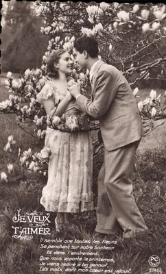 Je veux t'aimer — Poème amoureux sous magnolia — P-C Paris n°3745