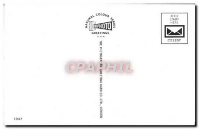 Flaga brytyjska — kartka pocztowa z serii 'Natural Colour Series' — The Photographic Greeting Card Co. Ltd., Londyn — Rewers