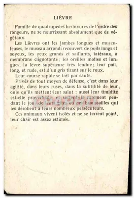 Chromo Lievre — Verso