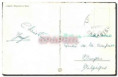 Lugano. Magnolie w kwiecie — seria 15, Fot. Ch. Stèle ar. Paradiso — Rewers