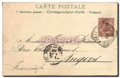 Arranjo de flores — ilustração colorida — editor desconhecido — Verso