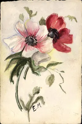 Anémonas — aquarela — E.M. (assinado)