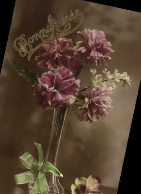 Arranjo de flores — Boas Festas — editor não visível