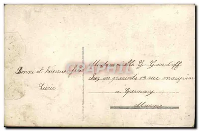 Donna con mazzo di fiori — Buon compleanno — editore anonimo, n° 528 — Verso