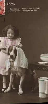 Menina limpando um cachorro com uma toalha — l'Ami — editor desconhecido