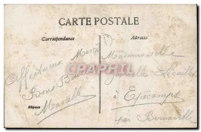 Kobieta w ramce kwiatowej — 'Moje myśli w wiązkach idą do Ciebie' — ELD, n°4316 — Rewers