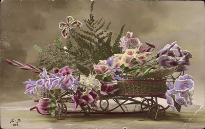 Flores em um landau — E.M. 126