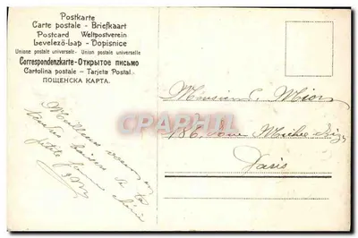Violetas — buquê em um vaso — editor B. n° 7812 — Verso