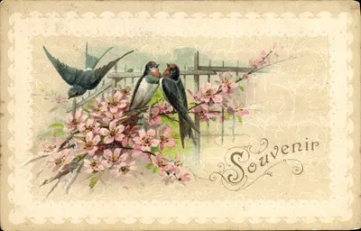 Pássaros em galho florido — Lembrança — Carte postale universelle