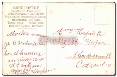 Aniversário — paisagem rural com flores azuis — Carte postale multilingue — Verso
