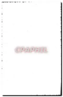Ozdobny kamel — Egipcjanin — Rewers