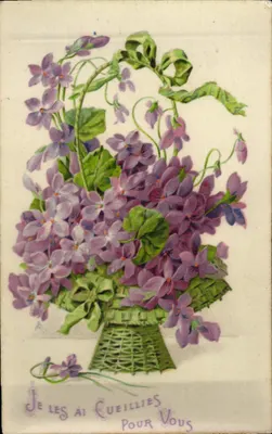 Violetas — arranjo em cesta — K.F. Editores, Série 1.866