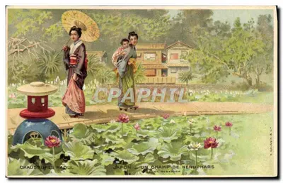Japão — Um campo de nenúfares — Chaussures Raoul, edição reservada