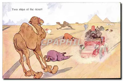 Dois navios do deserto — ilustração humorística — The Cairo Postcard Trust, n° 931-15