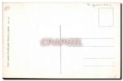Dois navios do deserto — ilustração humorística — The Cairo Postcard Trust, n° 931-15 — Verso
