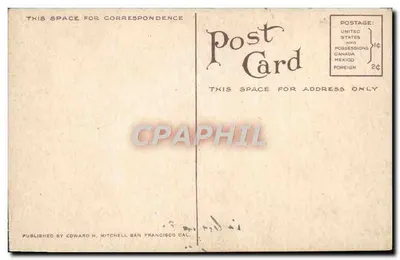 Kapiolani Park, Honolulu, T.H. — widok górski i aleja z palmami — wydawca Edward H. Mitchell, San Francisco — Rewers