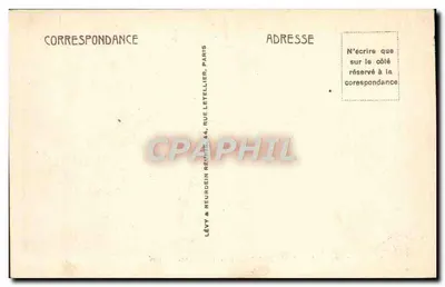 Bone Hippone — Vista general — ND — Reverso