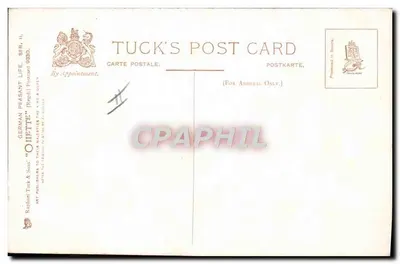 Duas pessoas observando um golfinho — pintura de R. Tuck & Sons — Tuck's Post Card, série II — Verso