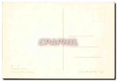 Maine Buddhy — Citrus medica digitata — Wydawnictwo Malowidła Popularnych, Pekin — Rewers