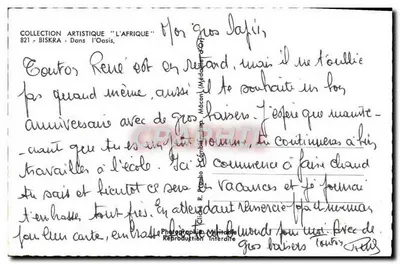 Bilhete postal antigo Biskra Na Oasis Camelo — Verso