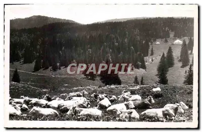 As estivantes no Massif das ROUSSES — O Jura Pittoresco — FOTO COUBIER MACON