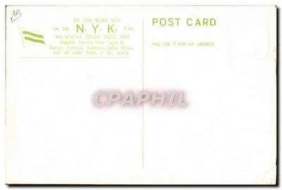 Floraison d'azalées et papillon — S.S. 'Tenyo Maru' — Nippon Yusen Kaisha — Verso