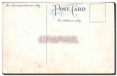 Vacas en un prado — Editor desconocido — fechada 24 de junio de 1914 — Reverso