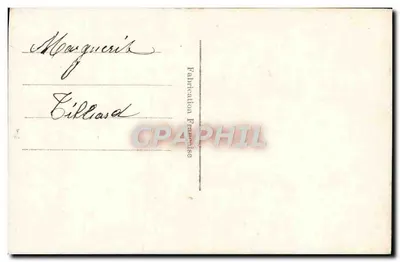 Róża REX 1832 — Urodziny — Marguerie's Gillard — Rewers