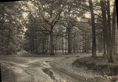 Bilhete postal moderno Vibraye Floresta de Vibraye Cruzeiro da Dauphine