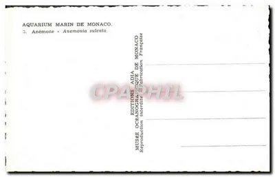 Aquarium de Monaco — Anémone - Anemonia sulcata — Wydawnictwo Océanograficzne Monako — Rewers