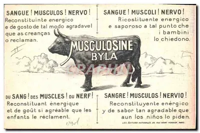 Musculosine Byla — Japão — F. S. Fonsela, n° XI — Verso