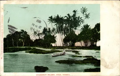 Ilha Cocoanut, Hilo, Havaí — vista da ilha com um cano e palmeiras — editor Wall Nichols Co. Ltd., n°20