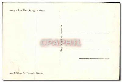 De Sanguinarië - kustgezicht met pijnbomen en agaven - Uitgaven A. Tomasi - Ajaccio, nr. 2104 — Achterkant