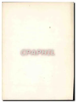Fata nella foresta — scena di fiaba — editore sconosciuto, numero di serie non visibile — Verso