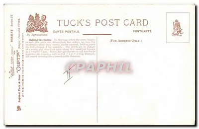Vrouw die koeien roept — Noorwegen — Tuck's Post Card, serie IV, n°7744 — Achterkant