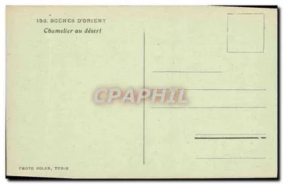 Cameleiro no deserto — Cenas da Oriente — Foto Soler, Tunísia — Verso