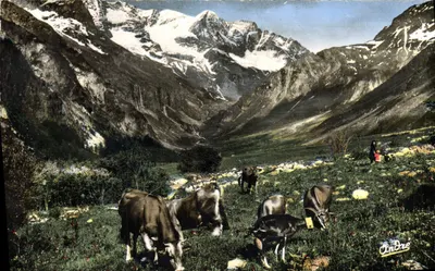 ऊँचे पर्वत में चरागाह — अल्पी दृश्य — एडिटर: एंड्रे कला संस्करण, ग्रेनोबल