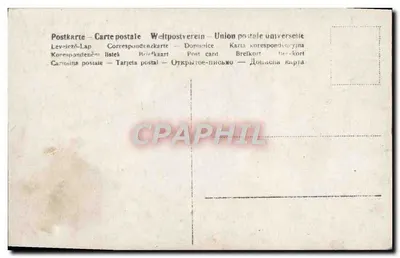 Jovem mulher em vestido de estilo Art Nouveau — interior elegante — n° 550/4 — Verso