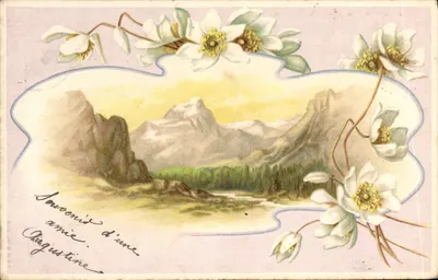 Pejzaż górski — białe kwiaty — A&M P. N° 308